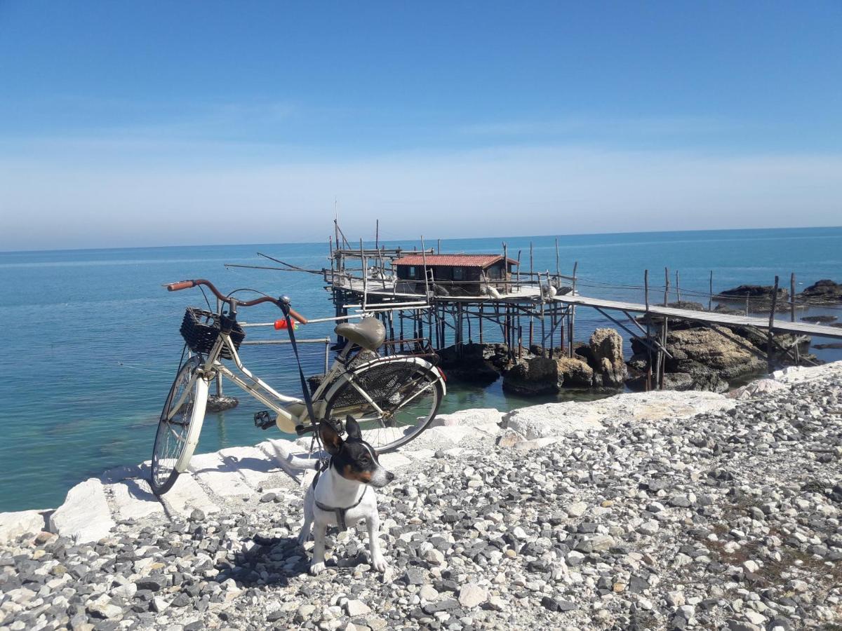 Casa A 20 Metri Dal Mare! Lejlighed Fossacesia Eksteriør billede
